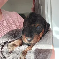 processed/e00ccb1d-48ca-459c-8eba-c61795c782e1/listing/181868c4-d346-4eb1-ad53-2c9144bba31b/d8cee6a1-e796-4aac-b491-0eefabc03ba9