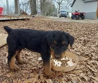 processed/e00ccb1d-48ca-459c-8eba-c61795c782e1/listing/a73e4e32-d731-4388-b263-41aaf9743de5/03b1f165-96b1-4f1b-9150-452c11a6cd20