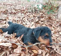 processed/e00ccb1d-48ca-459c-8eba-c61795c782e1/listing/a73e4e32-d731-4388-b263-41aaf9743de5/19f71b9e-a73e-4eba-842a-b2cfcd1dbd9d