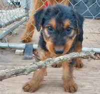 processed/e00ccb1d-48ca-459c-8eba-c61795c782e1/listing/a73e4e32-d731-4388-b263-41aaf9743de5/36c27afb-b3f8-4842-8841-98f4bfae8f38