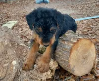 processed/e00ccb1d-48ca-459c-8eba-c61795c782e1/listing/a73e4e32-d731-4388-b263-41aaf9743de5/d97eb5fe-eb60-490d-936d-cb5f6834cb18