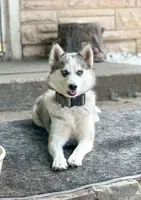 processed/e00e9883-a3fe-4865-b441-fd0689e4e228/facility/0e601cd3-3225-4797-8637-5a07abd2a29e