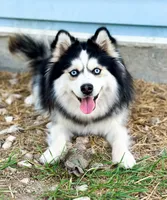 processed/e00e9883-a3fe-4865-b441-fd0689e4e228/facility/840062ae-2ac1-4b50-b633-a296a15ae388