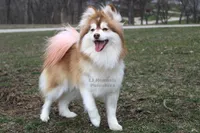 processed/e00e9883-a3fe-4865-b441-fd0689e4e228/facility/a084342e-ea29-48ee-be85-b5176e8cfb0f