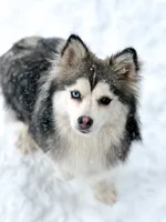 processed/e00e9883-a3fe-4865-b441-fd0689e4e228/facility/a4bcf251-32c2-4569-9ea8-6c0815f3c37a