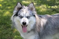 processed/e00e9883-a3fe-4865-b441-fd0689e4e228/facility/a5ae3968-3ce9-4522-a774-958c00254baf