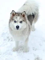 processed/e00e9883-a3fe-4865-b441-fd0689e4e228/facility/c67b14a1-17bc-46fd-8dcb-8bccd4b611ca