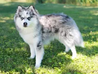 processed/e00e9883-a3fe-4865-b441-fd0689e4e228/facility/f2394fc2-8828-4a34-bd9a-ee898a86b7d4