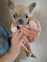 processed/e0114380-76d3-47b8-ad96-843220895fa1/listing/1e5cc3c7-dccf-412a-b2ae-11bd761b14b8/0dcfc0b6-dc91-4c74-9d48-639153bac8a2