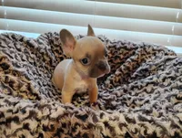 processed/e0114380-76d3-47b8-ad96-843220895fa1/listing/1e5cc3c7-dccf-412a-b2ae-11bd761b14b8/df0d2263-184f-4ebc-af0c-b26f5e66578e