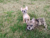 processed/e0114380-76d3-47b8-ad96-843220895fa1/listing/5719aecf-8436-4402-8844-87732ad8fd55/cb3524b7-9468-467d-b1ef-ad0d08bb5346