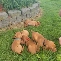 processed/e0192639-2ddf-4a21-ae8f-571885480454/facility/1a9545b5-3c02-4d95-9838-c5e1e8c409f5