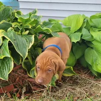 processed/e0192639-2ddf-4a21-ae8f-571885480454/facility/46bc4ec3-0614-42d6-87e5-f8ed77b64e1a