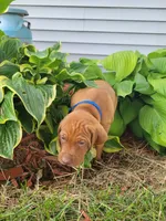 processed/e0192639-2ddf-4a21-ae8f-571885480454/facility/46bc4ec3-0614-42d6-87e5-f8ed77b64e1a