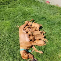 processed/e0192639-2ddf-4a21-ae8f-571885480454/facility/54981f31-704a-4a8c-86cb-1b1b64ccbcc8