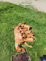 processed/e0192639-2ddf-4a21-ae8f-571885480454/facility/54981f31-704a-4a8c-86cb-1b1b64ccbcc8