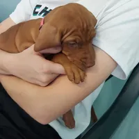 processed/e0192639-2ddf-4a21-ae8f-571885480454/facility/5a622dfb-9ab5-40c1-b79a-f8ab6f26c21a