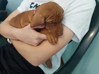 processed/e0192639-2ddf-4a21-ae8f-571885480454/facility/5a622dfb-9ab5-40c1-b79a-f8ab6f26c21a