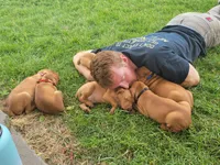 processed/e0192639-2ddf-4a21-ae8f-571885480454/facility/8803e669-90dc-4e6b-b167-cc3b7c4b9375