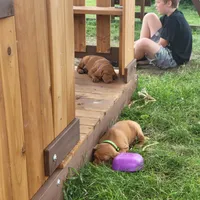 processed/e0192639-2ddf-4a21-ae8f-571885480454/facility/ba829d18-bb1e-4c0c-88ff-8d9a64681fb8