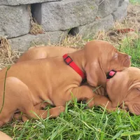 processed/e0192639-2ddf-4a21-ae8f-571885480454/facility/ca820015-4fb9-489f-b8ec-ce24d868dde1