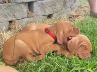 processed/e0192639-2ddf-4a21-ae8f-571885480454/facility/ca820015-4fb9-489f-b8ec-ce24d868dde1