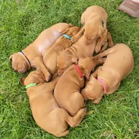 processed/e0192639-2ddf-4a21-ae8f-571885480454/facility/d0271a24-48b0-4177-b7d9-e6fe96aaec47