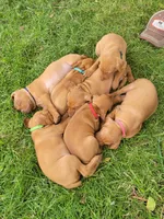 processed/e0192639-2ddf-4a21-ae8f-571885480454/facility/d0271a24-48b0-4177-b7d9-e6fe96aaec47