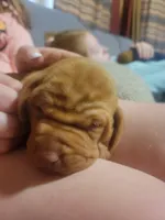 processed/e0192639-2ddf-4a21-ae8f-571885480454/listing/074c8fc4-e6da-449c-a0f2-97435a9dc3fa/15afdda5-baef-4f2d-8f17-1eeaaf1ab4be