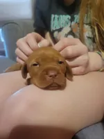 processed/e0192639-2ddf-4a21-ae8f-571885480454/listing/074c8fc4-e6da-449c-a0f2-97435a9dc3fa/42ba6798-b2b1-47e6-a517-b45e182427ad