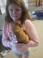 processed/e0192639-2ddf-4a21-ae8f-571885480454/listing/074c8fc4-e6da-449c-a0f2-97435a9dc3fa/b2ed8e0d-00a3-465d-a203-e9602a6e07ff