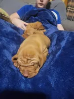 processed/e0192639-2ddf-4a21-ae8f-571885480454/listing/074c8fc4-e6da-449c-a0f2-97435a9dc3fa/f76f4fe7-0468-4080-94c6-7c7e7239f12d