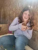 Coenen Vizsla Pup BLACK, a male Vizsla for sale in Woodbine, IA – Photo 4 of 5