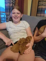 Male #7, a male Vizsla for sale in Woodbine, IA – 2 of 8