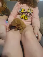 processed/e0192639-2ddf-4a21-ae8f-571885480454/listing/90f36039-7a80-4272-ace1-e4383d43531d/61825931-e41f-495a-be77-b23ad69a2eb6