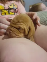 processed/e0192639-2ddf-4a21-ae8f-571885480454/listing/90f36039-7a80-4272-ace1-e4383d43531d/b6e3351e-1b01-416e-8c86-4b33d712bb98