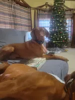 processed/e0192639-2ddf-4a21-ae8f-571885480454/listing/90f36039-7a80-4272-ace1-e4383d43531d/d3b1fee2-5aae-46bf-ac40-c943eb5496d0