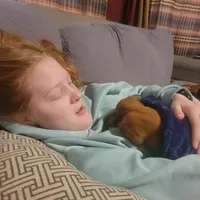 Male #3, a male Vizsla for sale in Woodbine, IA – Photo 3 of 8