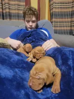 processed/e0192639-2ddf-4a21-ae8f-571885480454/listing/a9bfae5a-689c-4dfd-a959-bae608ee0ce1/7faf067b-47ed-493d-97c2-e2a9acca9714