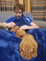 processed/e0192639-2ddf-4a21-ae8f-571885480454/listing/a9bfae5a-689c-4dfd-a959-bae608ee0ce1/83fbcdf4-a9cc-4cda-a4de-a923afceb536