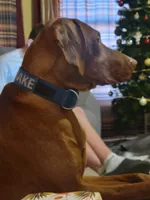 processed/e0192639-2ddf-4a21-ae8f-571885480454/listing/a9bfae5a-689c-4dfd-a959-bae608ee0ce1/84e109c7-0088-4af0-99e9-364715862868