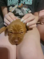 processed/e0192639-2ddf-4a21-ae8f-571885480454/listing/a9bfae5a-689c-4dfd-a959-bae608ee0ce1/90bbae7f-f07c-4bb4-8d60-d1b4d96facd6