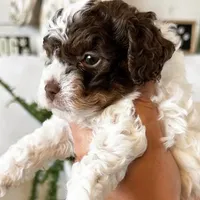 processed/e01a9f48-9184-4656-94bb-a62407ce55f8/facility/0dffd633-2c07-4fec-b710-cbdd536f9a65