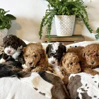 processed/e01a9f48-9184-4656-94bb-a62407ce55f8/facility/23da6b71-a2e6-492e-8c6b-6348c911d8a7