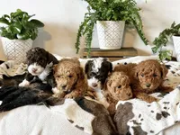 processed/e01a9f48-9184-4656-94bb-a62407ce55f8/facility/23da6b71-a2e6-492e-8c6b-6348c911d8a7