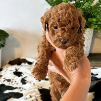 processed/e01a9f48-9184-4656-94bb-a62407ce55f8/facility/314f1410-62eb-4ef8-bf7f-e7b91d7a14a7