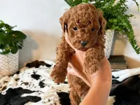 processed/e01a9f48-9184-4656-94bb-a62407ce55f8/facility/314f1410-62eb-4ef8-bf7f-e7b91d7a14a7