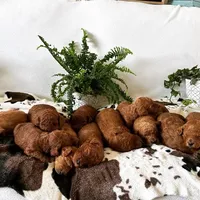 processed/e01a9f48-9184-4656-94bb-a62407ce55f8/facility/71b345ac-4020-4f8a-a562-e13d49e1833f