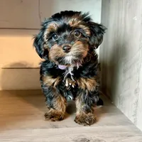 processed/e01a9f48-9184-4656-94bb-a62407ce55f8/facility/9aeb3e65-afda-482e-9f44-7a56dd46e893