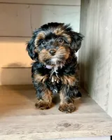 processed/e01a9f48-9184-4656-94bb-a62407ce55f8/facility/9aeb3e65-afda-482e-9f44-7a56dd46e893